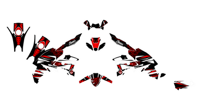 BMW R1250 GS Dekor - Dragon-Edition