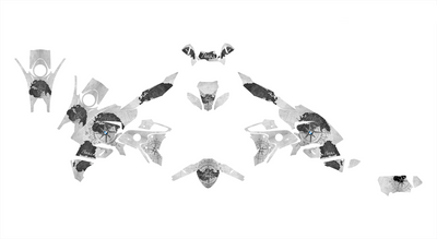 BMW R1250 GS Dekor - Explore-Edition