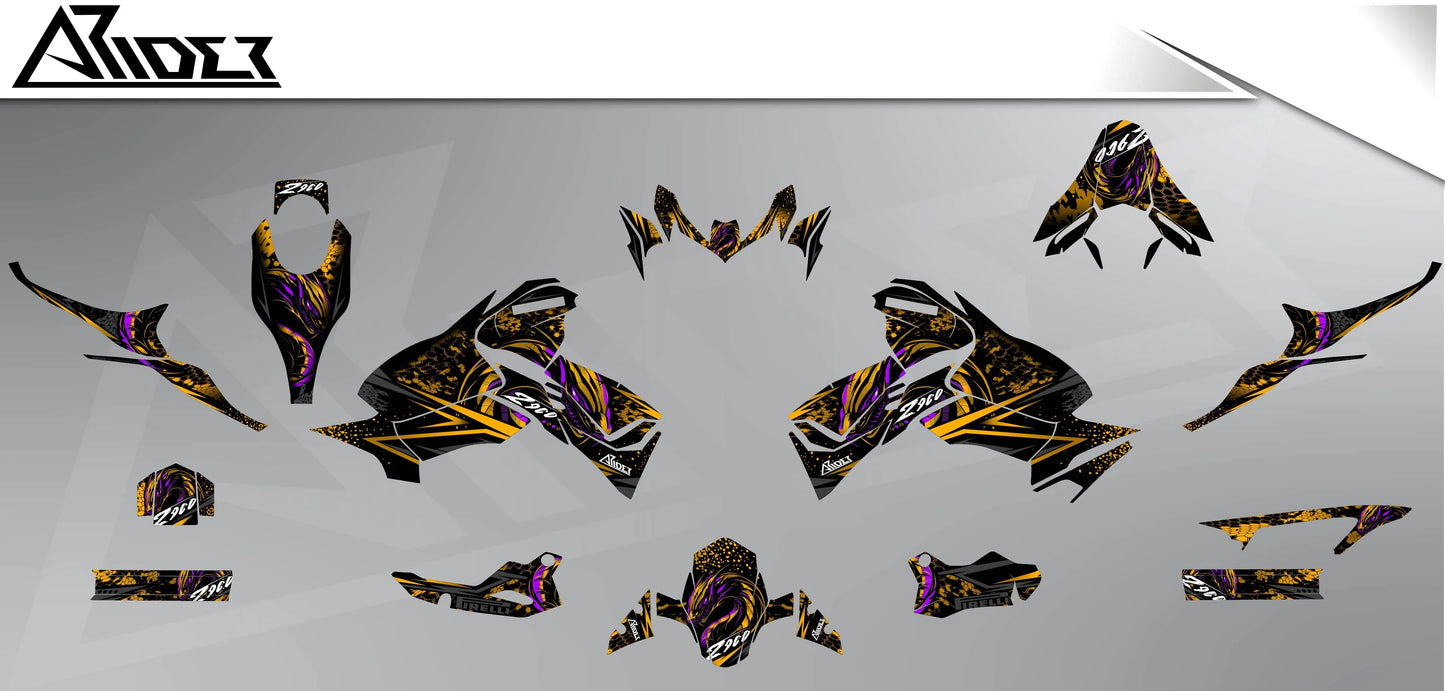 Dekor passend für Kawasaki Z900 - Dragon Edition - Arider