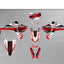 Graphics Kit suitable for Fantic XMF 50 / 125 - Edge Edition