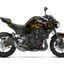 Dekor passend für Kawasaki Z900 - Dragon Edition