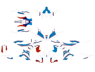 BMW S 1000 RR Graphics Kit - Icon Edition