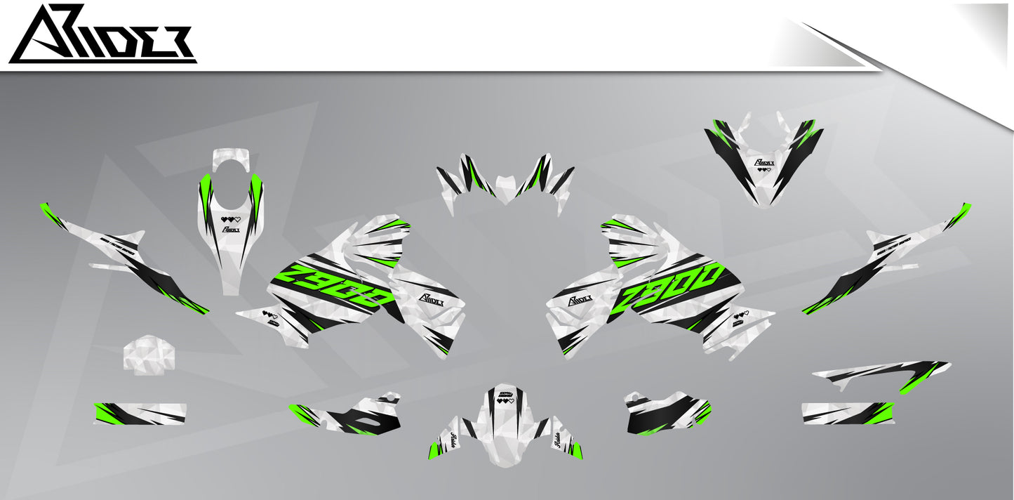 Dekor passend für Kawasaki Z900 - Wild Edition, Farbe Grün, Baujahr 2020 - 2024, Übersicht Dekorsatz