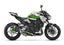 Dekor passend für Kawasaki Z900 - Wild Edition, Farbe Grün, Baujahr 2020 - 2024
