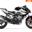Arider Dekor passend für KTM Duke 990 – Alpha Edition, weiß-schwarze Grafik auf kompletter Seitenansicht der Maschine.