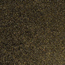 Gold Glitter Laminate