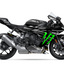 Grafiche adatte per Yamaha R1 - Beast Edizione  